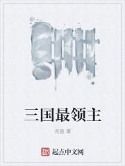 三国领主
