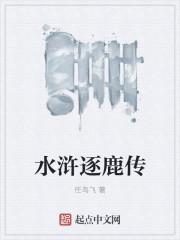 水浒逐鹿传后宫名单