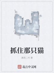 抓住那只猫 scratch教案