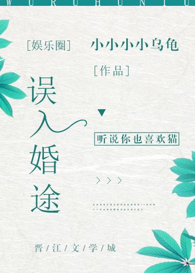 误入婚途晋江