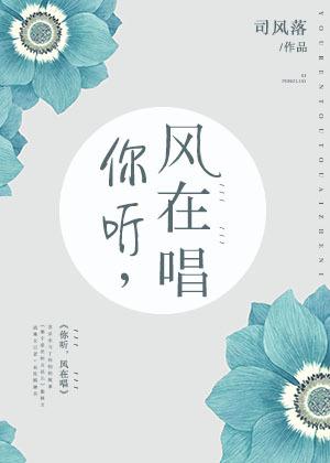 你听风在唱完整版歌词