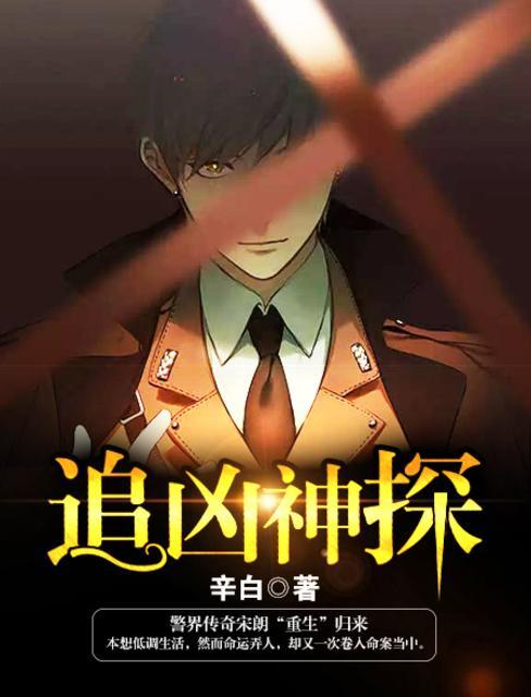 追凶神探全集完整版