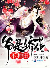 爷是娇病