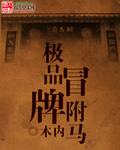 极品冒牌驸马阅读笔趣阁