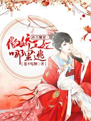 冷王傲妃免费
