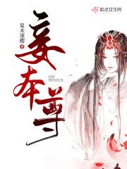 朔气传金柝的下一句