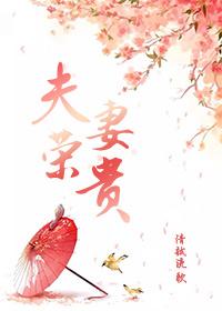 夫荣妻贵短剧免费观看爱奇艺