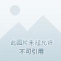 画情书怎么画