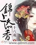 锦上添花 百科