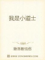 我是小道士歌曲