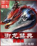 御龙是啥游戏