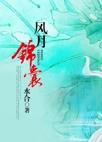 风月锦囊齐雁锦是另一部男主