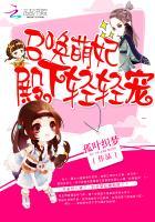 召唤拽殿下第二部