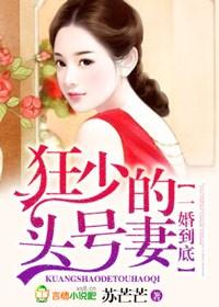一婚到底亿万老公宠妻无度