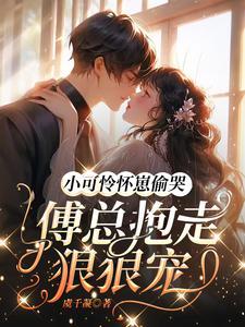 小可怜怀崽偷哭傅总抱走狠狠宠免费阅读