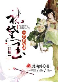 当周芷若穿成林黛玉红楼