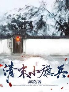 清朝的战旗