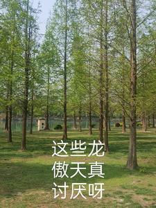 龙傲天类推荐