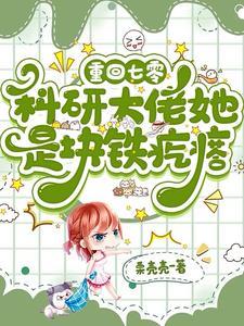重回七零科研大佬她是块铁疙瘩 作者栗壳壳