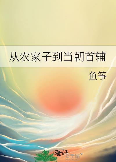 从农家子到当朝首辅txt