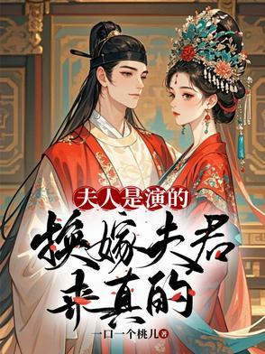 电视剧夫人是谁
