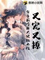 又宠又撩分手后冷厉大佬扛不住
