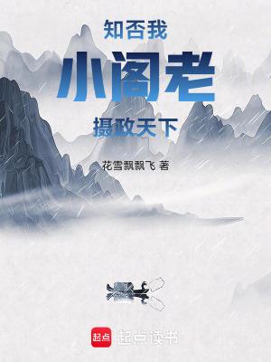 知否我小阁老摄政天下免费