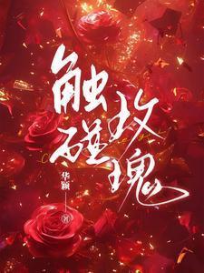 触碰这首歌的歌词