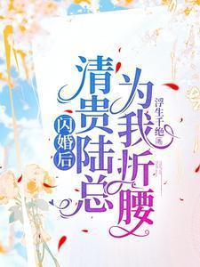 我成了陆少的心尖宠