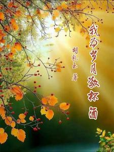 我为岁月敬杯酒什么意思啊