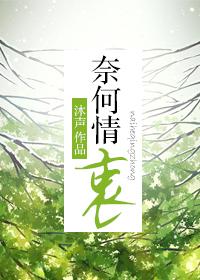 奈何情衷by沐言讲了什么