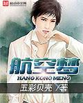 航空梦魇电影免费观看中文版