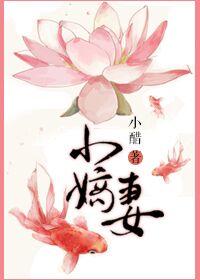 小嫡妻讲了什么
