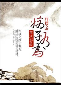 重生红楼之嫡子归来