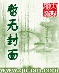 年年岁岁作者