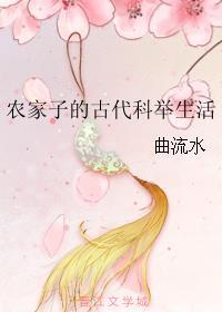 农家子的古代科举生活是bl吗