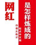 网红是怎样炼成的一共多少集
