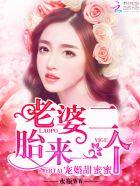 老婆二胎来一个全文免费阅读