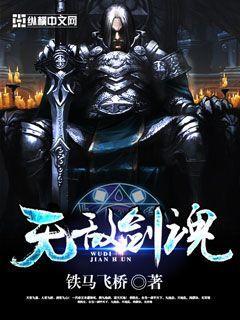 无敌剑魂TXT奇书网