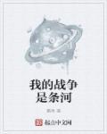 我的战争讲述的是什么