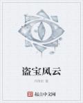 经典盗宝电影