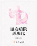 臣妾主要是什么意思
