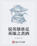 说英雄谁是英雄 主角