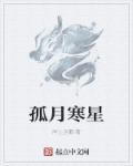 孤星寒月26
