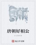 唐朝好相公好看吗