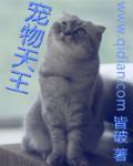 宠物天王人物