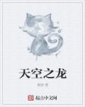 天空龙之传说