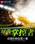 绿茵之巅怎么玩