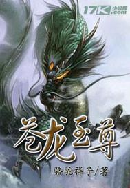 苍龙至尊动漫