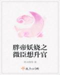 帝弗润驰女装长袖连衣裙